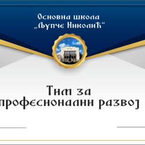 Тим за професионални развој