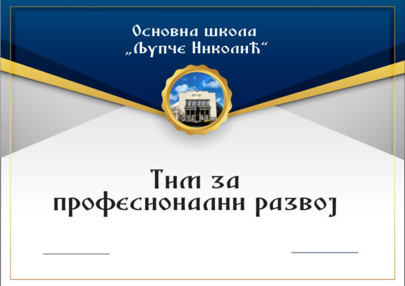 Тим за професионални развој
