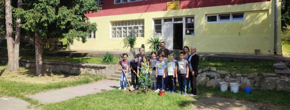 Школско двориште добило нове саднице
