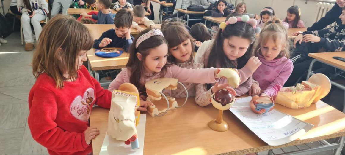photo_2026-02-12_21-40-48 Будући прваци на часовима биологије