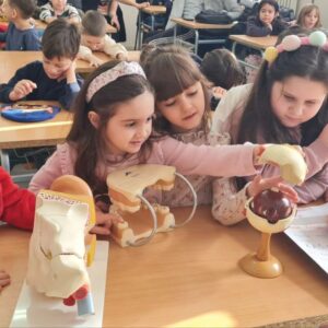 photo_2026-02-12_21-40-48 Будући прваци на часовима биологије